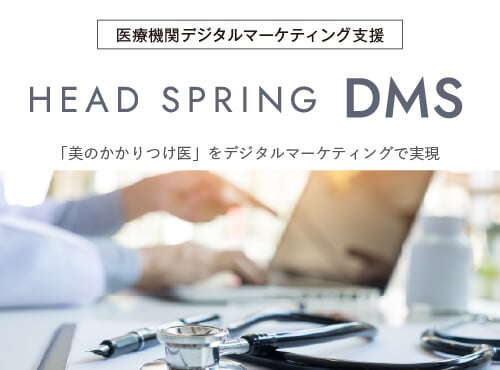 ヘッドスプリングDMS